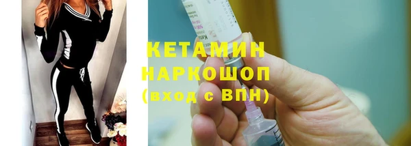 прущие грибы Верея