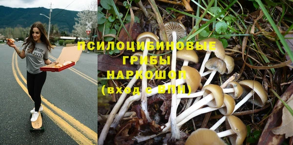 МДПВ Няндома