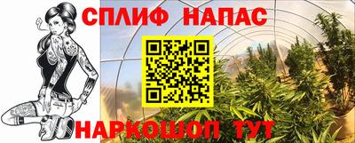 бошки Гатчина