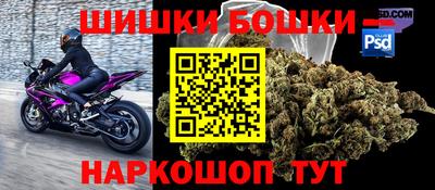бошки Гатчина