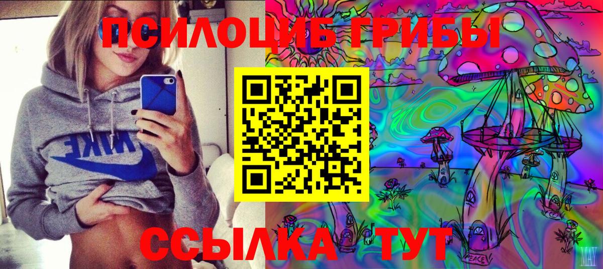 Галлюциногенные грибы мухоморы  Кострома  Псилоцибиновые грибы Psilocybe 