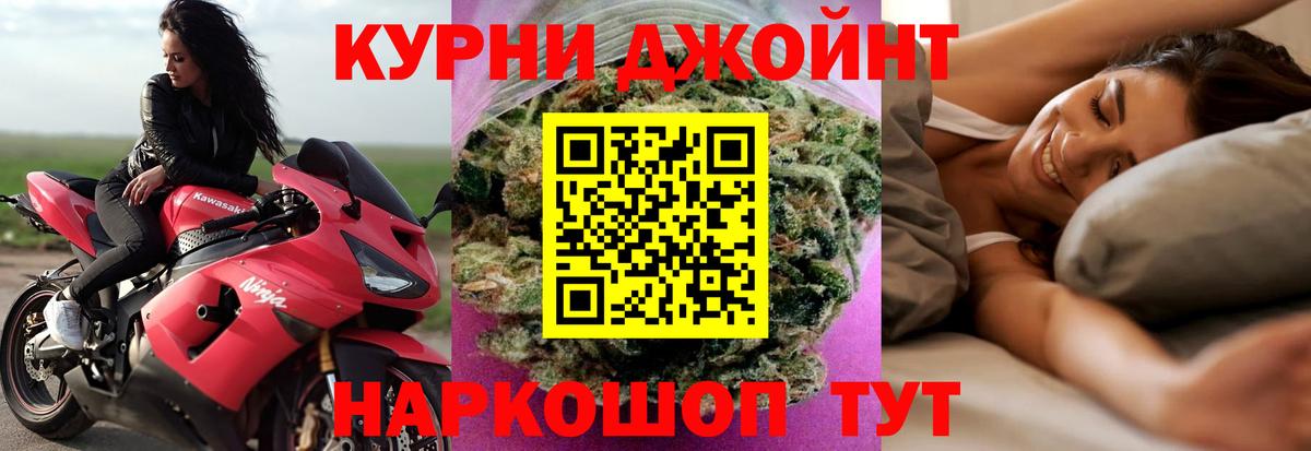 Канабис марихуана  МАРИХУАНА White Widow  Канабис MAZAR  Кострома 
